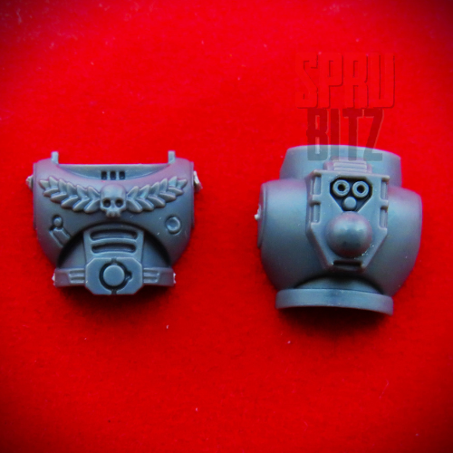 Space Marine Body Torso (laurel) front and back