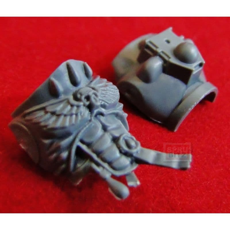 Blood Angel Sanguinary Guard Torso Body front & back (aquila)