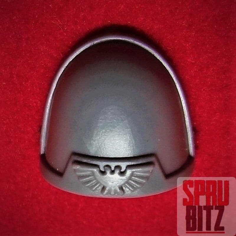 Space Marine Tactical Squad Shoulder Pad (D)