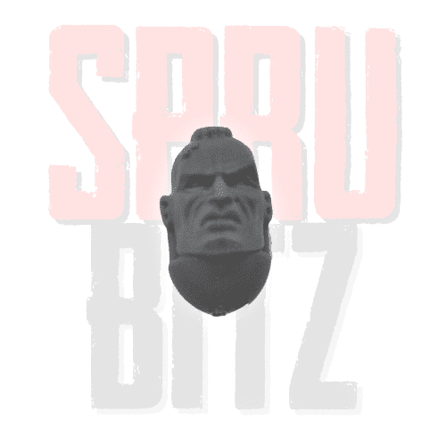 Vanguard Veteran Head Helmet (D)