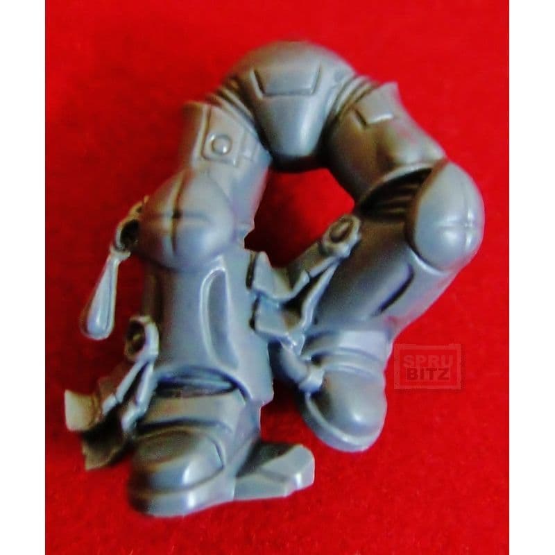 Blood Angel Sanguinary Guard Legs (purity seals)