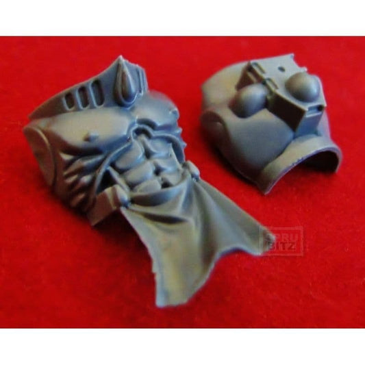 Blood Angel Sanguinary Guard Torso Body front & back (sash)