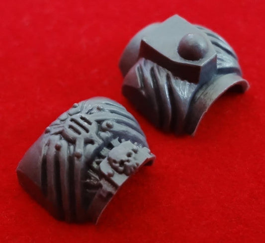 Chaos Space Marine Possessed Torso front and back (B)