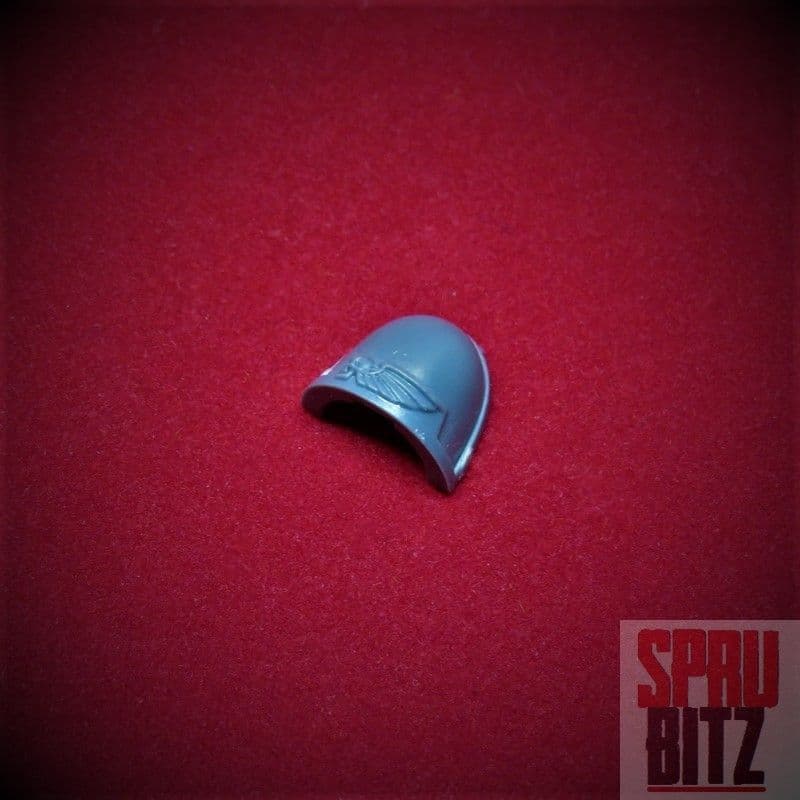 Space Marine Assault Squad Shoulder Pad 2014 (B)