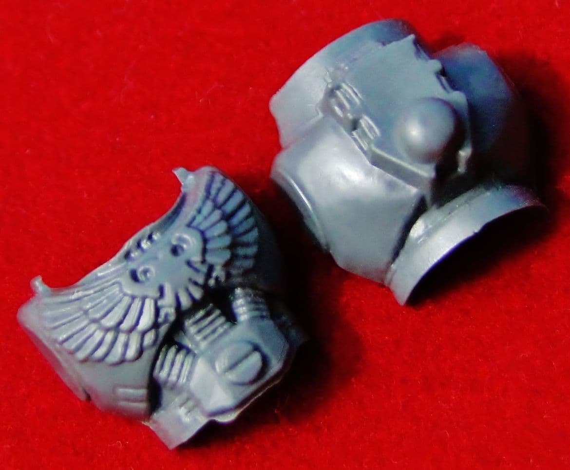 Space Marine Body Torso (Aquila) front and back