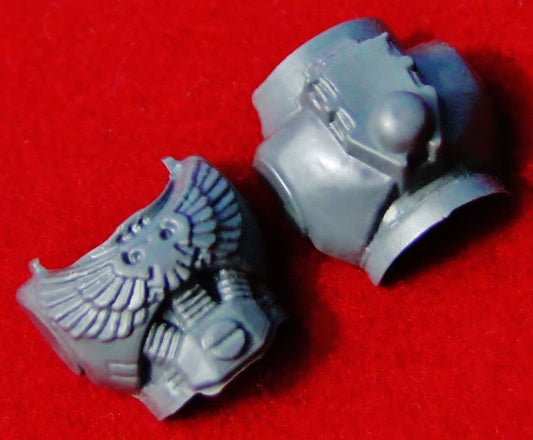 Space Marine Body Torso (Aquila) front and back