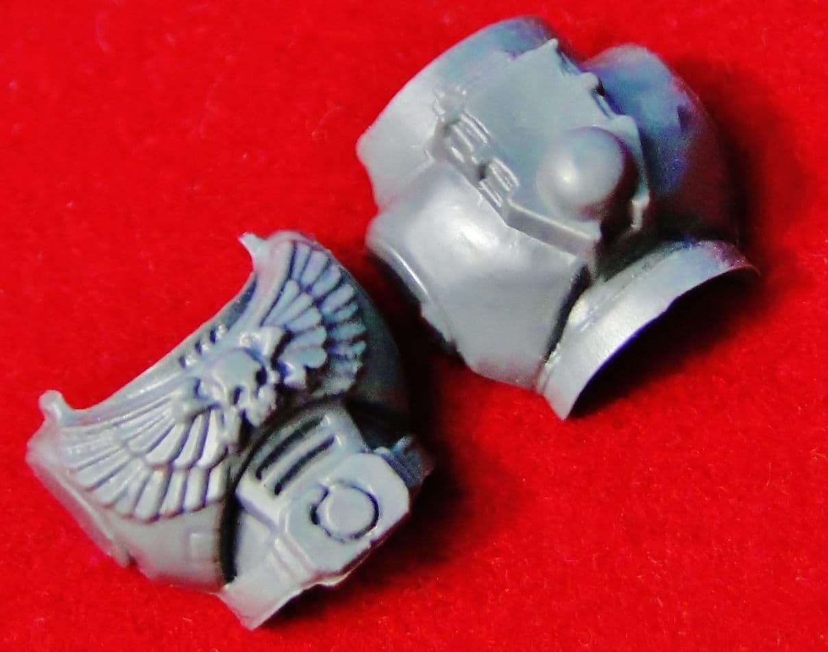 Space Marine Body Torso (Skull & Crossbones) front and back