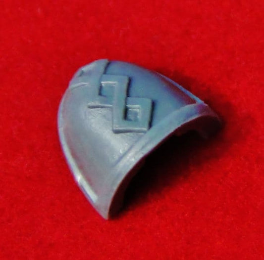 Space Marine Command Squad Apothecary Shoulder Pad