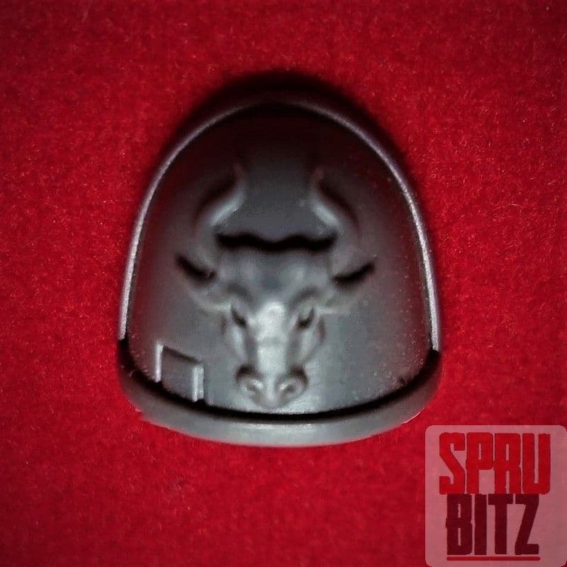 Space Marine Deathwatch Veterans Shoulder Pad (D)