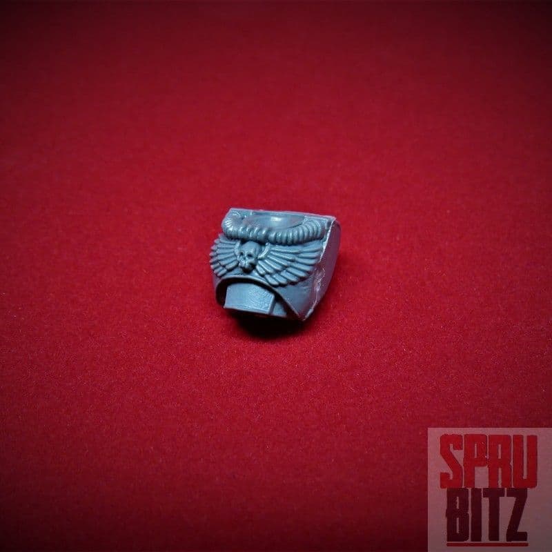 Space Marine Scout Torso