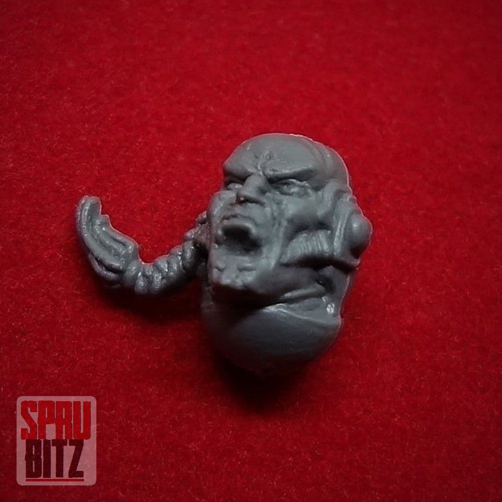 Space Wolves Blood Claws Head (C)