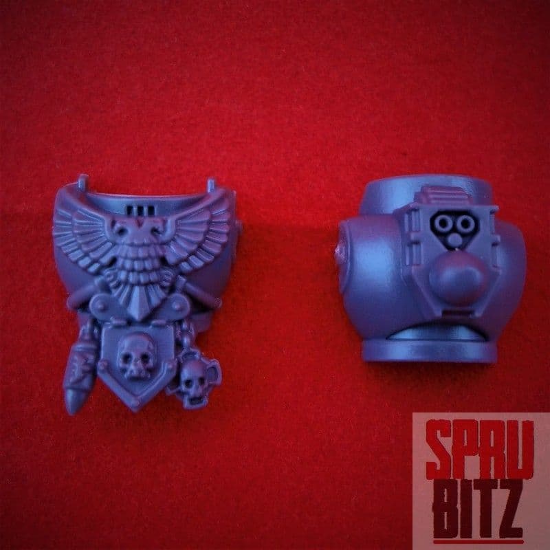 Sternguard Veteran Torso (D)