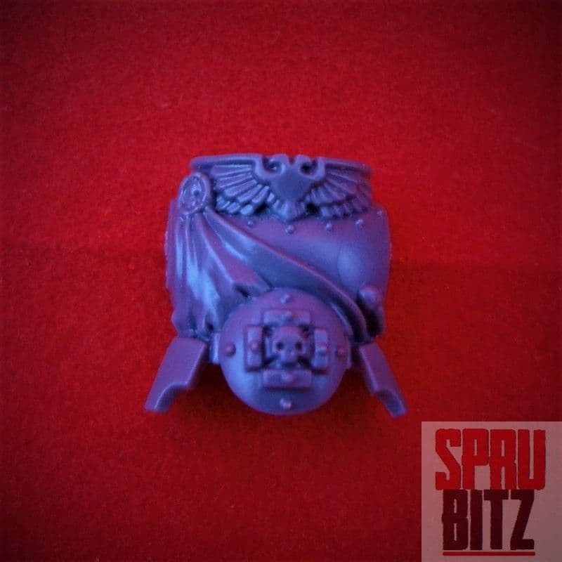 Sternguard Veteran Torso (F)